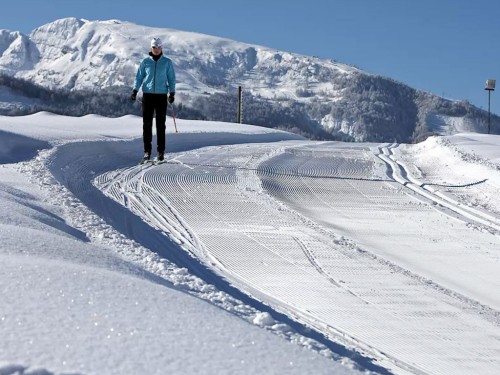 Reit im Winkl - Winter forest trail