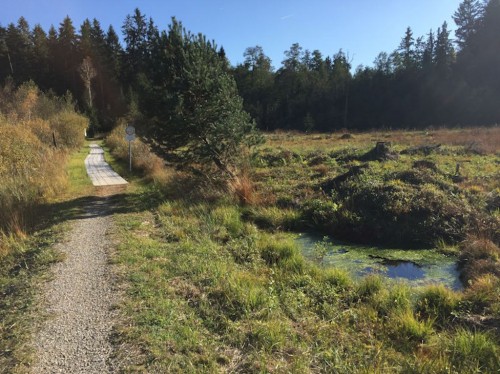 Groer Latschenfeld-Rundweg