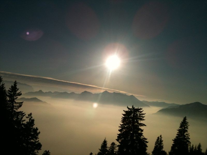 zahmer kaiser berm nebel