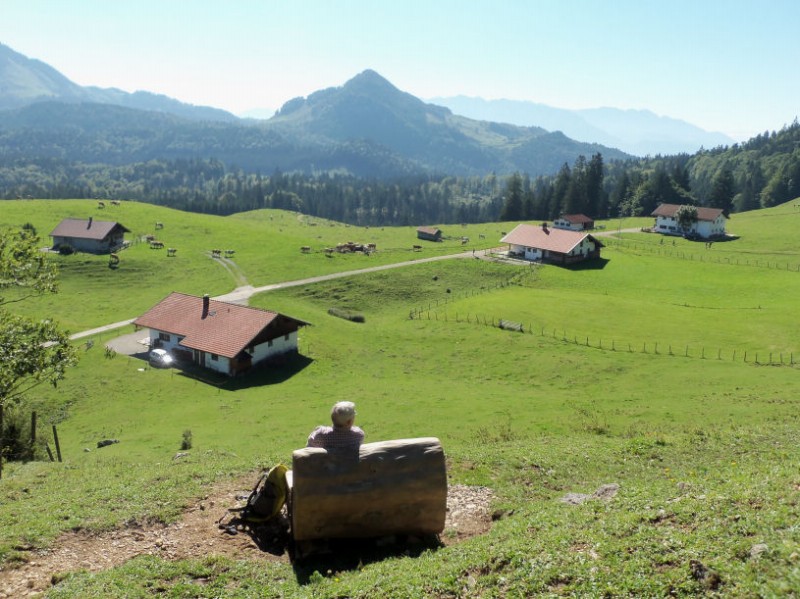 Heuberg Duffnerwaldalmen