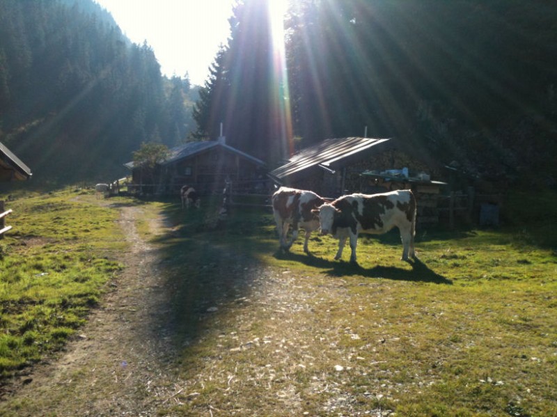 khe auf der laubensteinalm