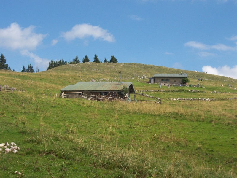 Laubensteinalm