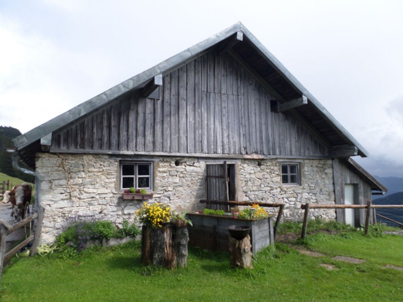 stall neben hofbauernalm