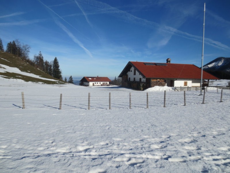 Duffnerwaldalmen Heuberg