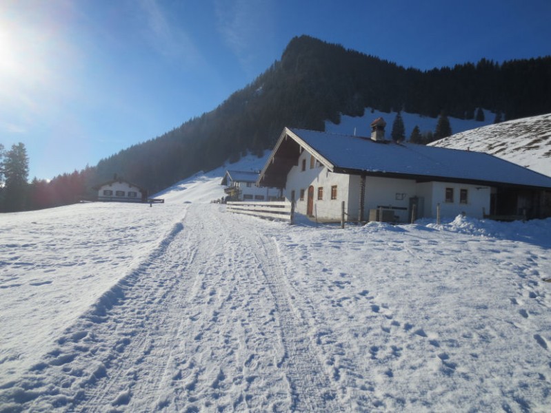 Duffnerwaldalmen Kitzstein