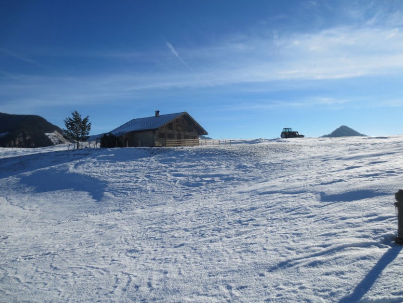 Unbewirtschaftete Alm Duffnerwaldalmen