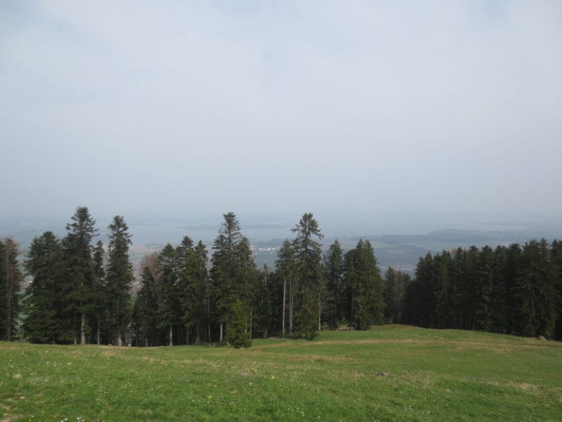 Chiemseeblick