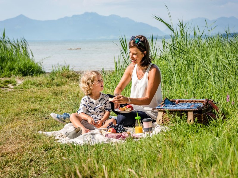 Picknick am Chiemsee