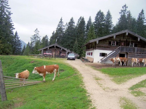 Fritz am Sand-Kaitlalm-Schwarzachenalm 