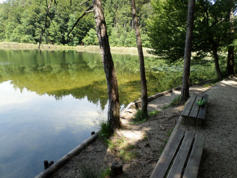 Der ruhig gelegene Schlosssee