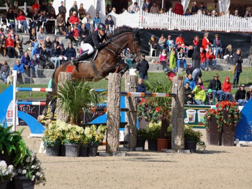 Chiemsee Horse Festival 02.09.to 12 / 09 /.2021