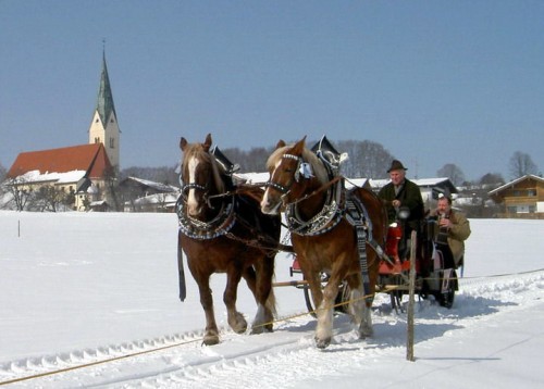 horse-drawn sleigh rides